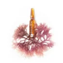 KUORA FLASH AMPOULE LIFTING IMMEDIAT