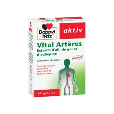 AKTIV Artères  B/90 Gélules