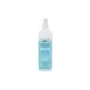 BYPHASSE Démêlant Express Activ Boucles 400mL
