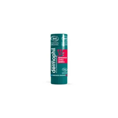 DERMOPHIL Stick Réparation Lèvres Abimées 4Gr