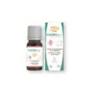 GASTROBEN SIROP ANTI-BALLONNEMENT ENFANT 125 ML