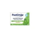 PASTIMAX HALEINE FRAICHE EUCALYPTUS MENTHE 12 PASTILLES A SUCER