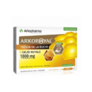 Arkopharma Arkoroyal Gelée Royale 1000Mg 20 Ampoules