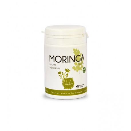 Bio Gatrana Moringa 90 Gélules