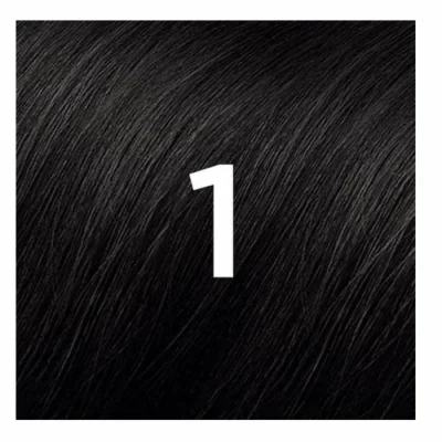 Phyto Color Coloration Permanente Noir 1