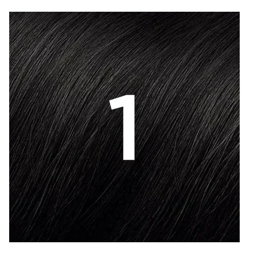 Phyto Color Coloration Permanente Noir 1