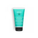 APIVITA APRES SHAMPOOING EQUILIBRANT CUIR CHEVELU GRAS ET POINTES SECHES 150ML
