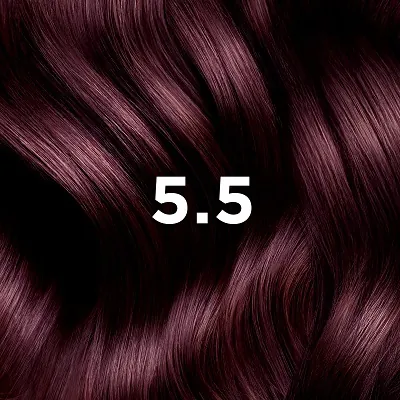 Phyto Color Coloration Permanente Chatain Clair Acajou 5.5