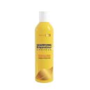 Protis Shampooing Réparateur Cheveux Secs