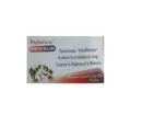 PHYTOFLORE Ginkgo Biloba 30 gélules